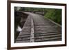 Converging Railroad Tracks-jrferrermn-Framed Photographic Print