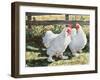 Conversation Piece, 1991-Sandra Lawrence-Framed Giclee Print