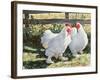 Conversation Piece, 1991-Sandra Lawrence-Framed Giclee Print