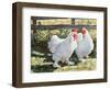 Conversation Piece, 1991-Sandra Lawrence-Framed Giclee Print