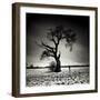 Conversation-Marcin Stawiarz-Framed Art Print