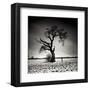 Conversation-Marcin Stawiarz-Framed Art Print