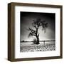 Conversation-Marcin Stawiarz-Framed Art Print