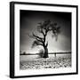 Conversation-Marcin Stawiarz-Framed Art Print