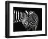 Conversation-Burghard Nitzschmann-Framed Photographic Print