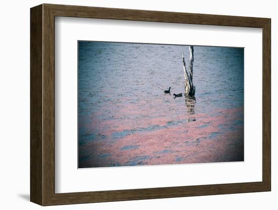 Conversation-Valda Bailey-Framed Photographic Print