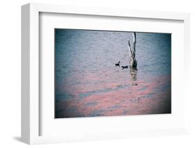 Conversation-Valda Bailey-Framed Photographic Print