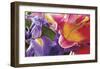 Conversing Flowers-Harold Davis-Framed Giclee Print