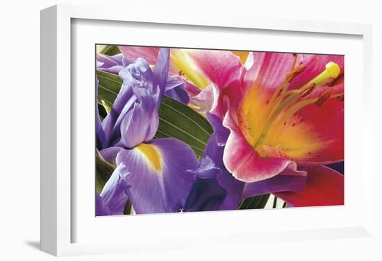 Conversing Flowers-Harold Davis-Framed Giclee Print