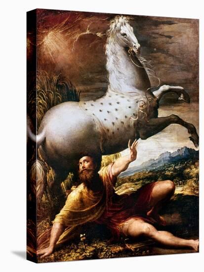 Conversion Of St. Paul-Niccolo Dell Abate-Stretched Canvas