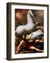 Conversion Of St. Paul-Niccolo Dell Abate-Framed Giclee Print