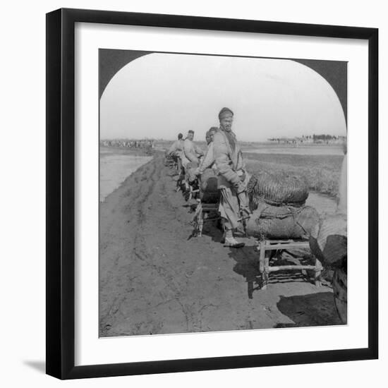 Conveying Salt to the Interior by Wheelbarrow Train, China, 1907-null-Framed Photographic Print