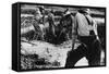 Convict Chain Gang and Prison Guard in Oglethorpe County, Georgia, May 1941-null-Framed Stretched Canvas