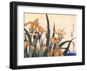 Convolvulus and Tree Frog-Hokusai Hokusai-Framed Art Print