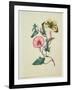 Convolvulus with Yellow Butterfly, from `Flowers', an English Botanical Manuscript, C.1840-English School-Framed Giclee Print