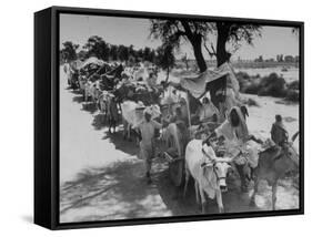 Convoy of Muslims Migrating from the Sikh State of Faridkot after the Division of India-Margaret Bourke-White-Framed Stretched Canvas