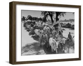 Convoy of Muslims Migrating from the Sikh State of Faridkot after the Division of India-Margaret Bourke-White-Framed Photographic Print