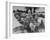 Convoy of Muslims Migrating from the Sikh State of Faridkot after the Division of India-Margaret Bourke-White-Framed Photographic Print