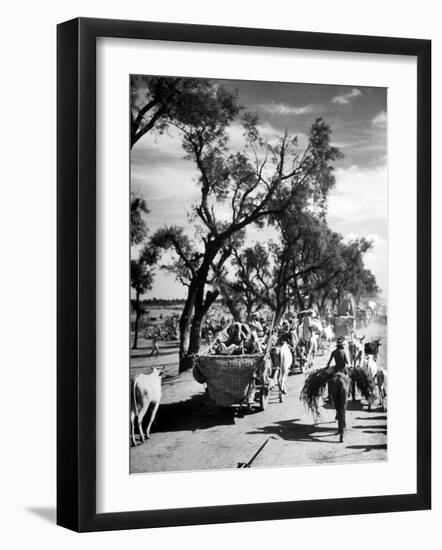 Convoy of Sikhs Migrating to East Punjab After the Division of India-Margaret Bourke-White-Framed Photographic Print
