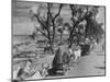 Convoy of Sikhs Migrating to East Punjab After the Division of India-Margaret Bourke-White-Mounted Photographic Print