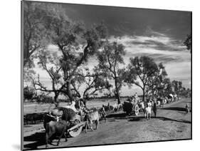 Convoy of Sikhs Migrating to East Punjab after the Division of India-null-Mounted Photographic Print