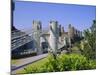 Conway Castle, Gwynedd, North Wales, UK-Nigel Francis-Mounted Photographic Print