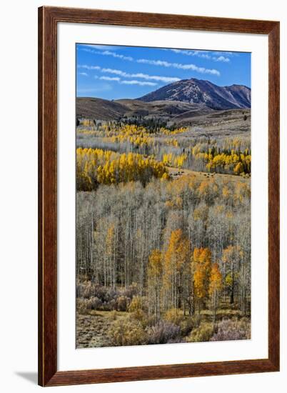 Conway Pass, HWY 395. USA, Lee Vining, California-Joe Restuccia III-Framed Premium Photographic Print