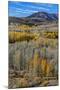 Conway Pass, HWY 395. USA, Lee Vining, California-Joe Restuccia III-Mounted Premium Photographic Print
