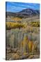 Conway Pass, HWY 395. USA, Lee Vining, California-Joe Restuccia III-Stretched Canvas