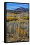 Conway Pass, HWY 395. USA, Lee Vining, California-Joe Restuccia III-Framed Stretched Canvas