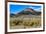 Conway Pass, HWY 395. USA, Lee Vining, California-Joe Restuccia III-Framed Premium Photographic Print