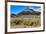 Conway Pass, HWY 395. USA, Lee Vining, California-Joe Restuccia III-Framed Premium Photographic Print