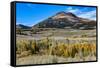 Conway Pass, HWY 395. USA, Lee Vining, California-Joe Restuccia III-Framed Stretched Canvas