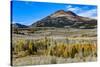 Conway Pass, HWY 395. USA, Lee Vining, California-Joe Restuccia III-Stretched Canvas