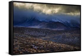 Conway Summit Along Highway 395 In The Eastern Sierras Northern California Near Mono Lake-Jay Goodrich-Framed Stretched Canvas