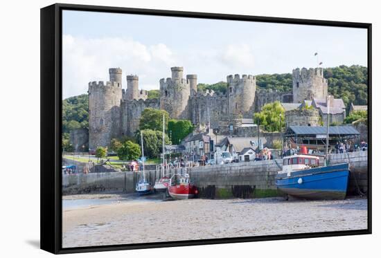 Conwy Castle, UNESCO World Heritage Site, and Harbour, Conwy, Wales, United Kingdom, Europe-Peter Groenendijk-Framed Stretched Canvas