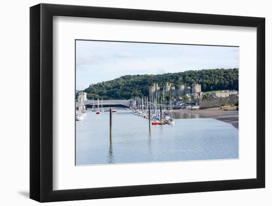 Conwy Castle, UNESCO World Heritage Site, and Harbour, Conwy, Wales, United Kingdom, Europe-Peter Groenendijk-Framed Photographic Print