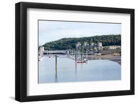 Conwy Castle, UNESCO World Heritage Site, and Harbour, Conwy, Wales, United Kingdom, Europe-Peter Groenendijk-Framed Photographic Print