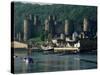 Conwy Castle, Unesco World Heritage Site, Conwy, Gwynedd, Wales, United Kingdom-Roy Rainford-Stretched Canvas