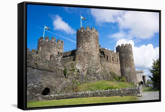 Conwy Castle, UNESCO World Heritage Site, Wales, United Kingdom, Europe-Peter Groenendijk-Framed Stretched Canvas