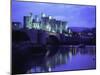 Conwy (Conway) Castle, Unesco World Heritage Site, Gwynedd, North Wales, UK, Europe-Roy Rainford-Mounted Photographic Print