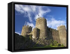 Conwy Medieval Castle in Summer, UNESCO World Heritage Site, Gwynedd, North Wales, UK, Europe-Peter Barritt-Framed Stretched Canvas