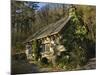 Conwy, Ty Hyll, or the Ugly House, Headquarters of Snowdonia National Park Society, Wales-John Warburton-lee-Mounted Photographic Print