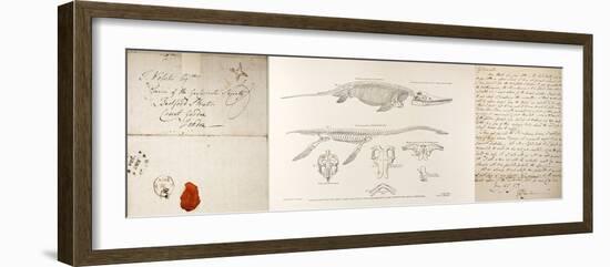 Conybeare Plesiosaurus Reconstruction.-Paul Stewart-Framed Photographic Print