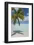 Cook Islands, Aitutaki. One Foot Island. White Sand Beach with Trees-Cindy Miller Hopkins-Framed Photographic Print