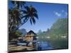 Cook's Bay, Moorea, French Polynesia, South Pacific, Tahiti-Steve Vidler-Mounted Photographic Print