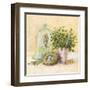 Cook's Garden-Angela Staehling-Framed Art Print