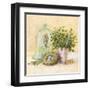 Cook's Garden-Angela Staehling-Framed Art Print