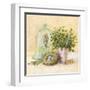 Cook's Garden-Angela Staehling-Framed Art Print