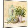 Cook's Garden-Angela Staehling-Mounted Art Print